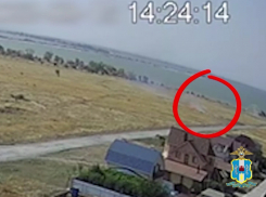 Видеокадры поджога поля: заместитель директора ДСиГХ попал на видео