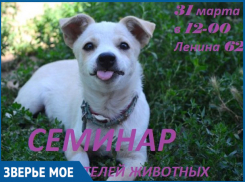 В последний день марта в Волгодонске любители животных смогут пообщаться с дрессировщиком, кинологом и другими специалистами