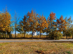 Прохладный, но солнечный четверг будет в Волгодонске