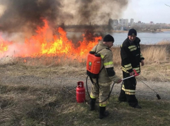 Берег залива охватил огонь: контролируемый пал сухой растительности проходит в Волгодонске 