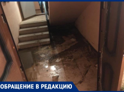Грибок на стенах, камыш и змеи: как выглядят квартиры детям-сиротам в станице Романовской