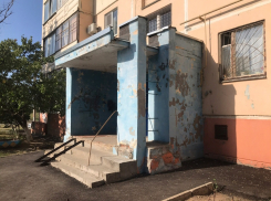 Чтобы побороть нашествие блох в квартире волгодонцам предложили обратиться в СМИ и быть активнее