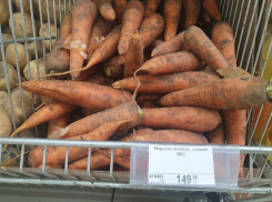 Покупать морковь по завышенной цене не готовы свыше 90% читателей «Блокнота» 