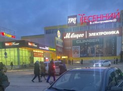 Сколько принес прибыли в 2025 году владельцам единственный в Волгодонске ТРЦ на Весенней