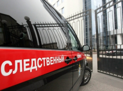 Следственный комитет проводит проверку по факту смерти младенца при родах школьницы в Детской больнице Волгодонска 