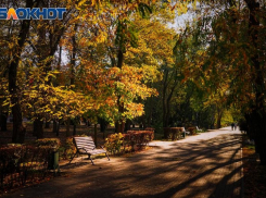 В парке Победы в Волгодонске усилили мобильный интернет