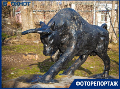 Как выглядят самые необычные памятники  Волгодонска