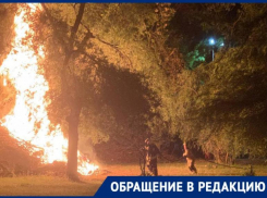 «Ждем, пока сгорит город?»: сухие ветки загорелись в парке Победа