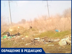 «Свозят гнилые помидоры и прочий мусор»: волгодонец обнаружил нелегальную свалку в Красном Яру 