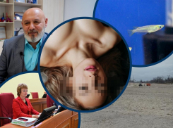 Исповедь директора школы, рисовая рыбка, битва у стрипа: самые «горячие» новости Волгодонска за неделю