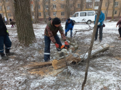 Одними из первых на общегородской субботник в Волгодонске вышли муниципальные служащие