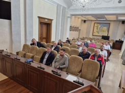 Растительный мусор нельзя выбрасывать в контейнеры: теперь за это будет штраф