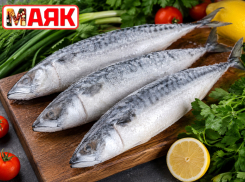 Товар дня: скумбрия свежемороженая  за 300 ₽/кг