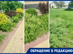 Входящая в турмаршрут «Серебряная подкова Дона» станица Романовская встретит гостей зарослями на набережной