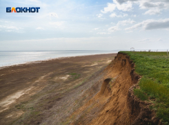 Ученые исследуют тайны древнего пролива между Каспием и Азовским морем с помощью растений-маркеров