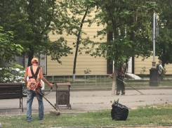 Активную борьбу с зарослями в Волгодонске ведут 52 косаря с одной роторной косилкой 