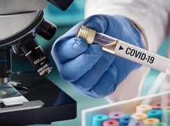 У трех волгодонцев за сутки подтвердился Covid-19