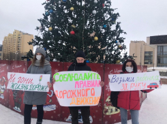 В Волгодонске волонтеры с помощью самодельных плакатов воззвали к совести водителей