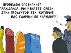 В Волгодонске зафиксирован рост цен на свинину, курятину, рыбу и сыры