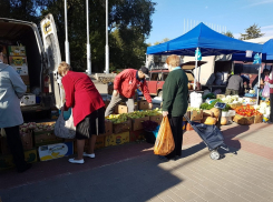 В Волгодонске открывается сезон ярмарок выходного дня