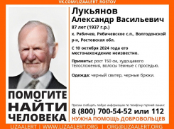 87-летний дедушка таинственно исчез под Волгодонском