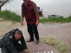 Забудьте о сетях: жителю Цимлянска может грозить тюрьма из-за незаконной ловли рыбы