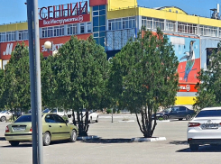 Информация об эвакуации торгового центра в Волгодонске не подтвердилась