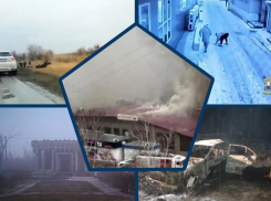 Неделя происшествий: смертельные ДТП, пожар в кафе и кража ювелирных украшений