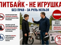 Как уберечь детей от травмы на дороге: в ГАИ напомнили о главных правилах безопасности 