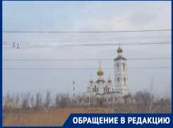 «Лучший открыточный вид в городе уничтожили бездумной посадкой деревьев»: волгодонец о странном озеленении около путепровода