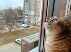 Морозы отступают: до +3 прогреется Волгодонск в среду