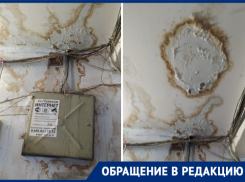 «Вечные потопы и разрушенные стены»: волгодонцы недовольны работой УК «Жилремсервис»