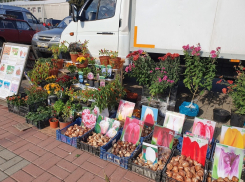 В Волгодонске пройдет первая осенняя ярмарка выходного дня