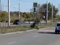 Велосипедист-нарушитель проехал по «зебре» на красный сигнал светофора
