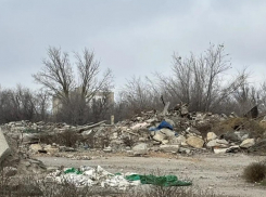 В Минприроды взяли на контроль ликвидацию гигантской свалки на месте птицефабрики имени Черникова