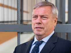 Политическая импотенция-на-Дону: почему Василию Голубеву не нужны сильные главы администраций в городах и районах