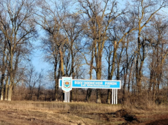 Жительницы Волгодонского района из иностранцев предпочитают  вступать в брак с гражданами Узбекистана