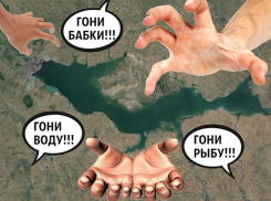 На дне: кто спасёт Цимлянское море от ненасытных потребителей?