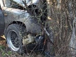 Пьяный водитель врезался в дерево в Цимлянском районе – он и пассажир в тяжелом состоянии