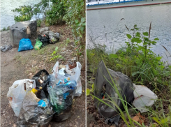 Рыбаки очистили берег судоходного канала от мусора