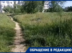 «Травы по колено»: волгодонцы просят покосить траву и убрать мусор в городе