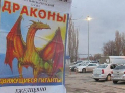 Расплодившиеся на деревьях Волгодонска «драконы» заставили попотеть муниципальную инспекцию 