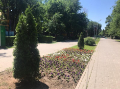 Сильный ветер подпортит волгодонцам пятничное настроение