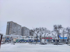 То снег, то дождь: во вторник будет переменчивая погода 