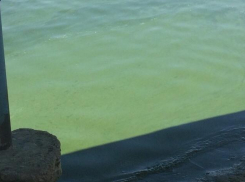 После купания в Цимлянском водохранилище у волгодонца «позеленели» ноги 