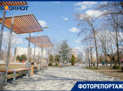 «Такой Волгодонск»: сквер «Дружба» глазами фотографа