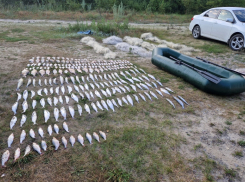 37-летний браконьер сам стал добычей для полицейских в акватории Цимлянского водохранилища