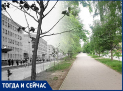 Волгодонск тогда и сейчас: улица 50 лет СССР 45 лет назад