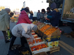 Продукты, саженцы и сувениры: в Волгодонске проходит ярмарка «выходного дня»