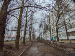 Пасмурной и ветреной будет середина рабочей недели в Волгодонске 